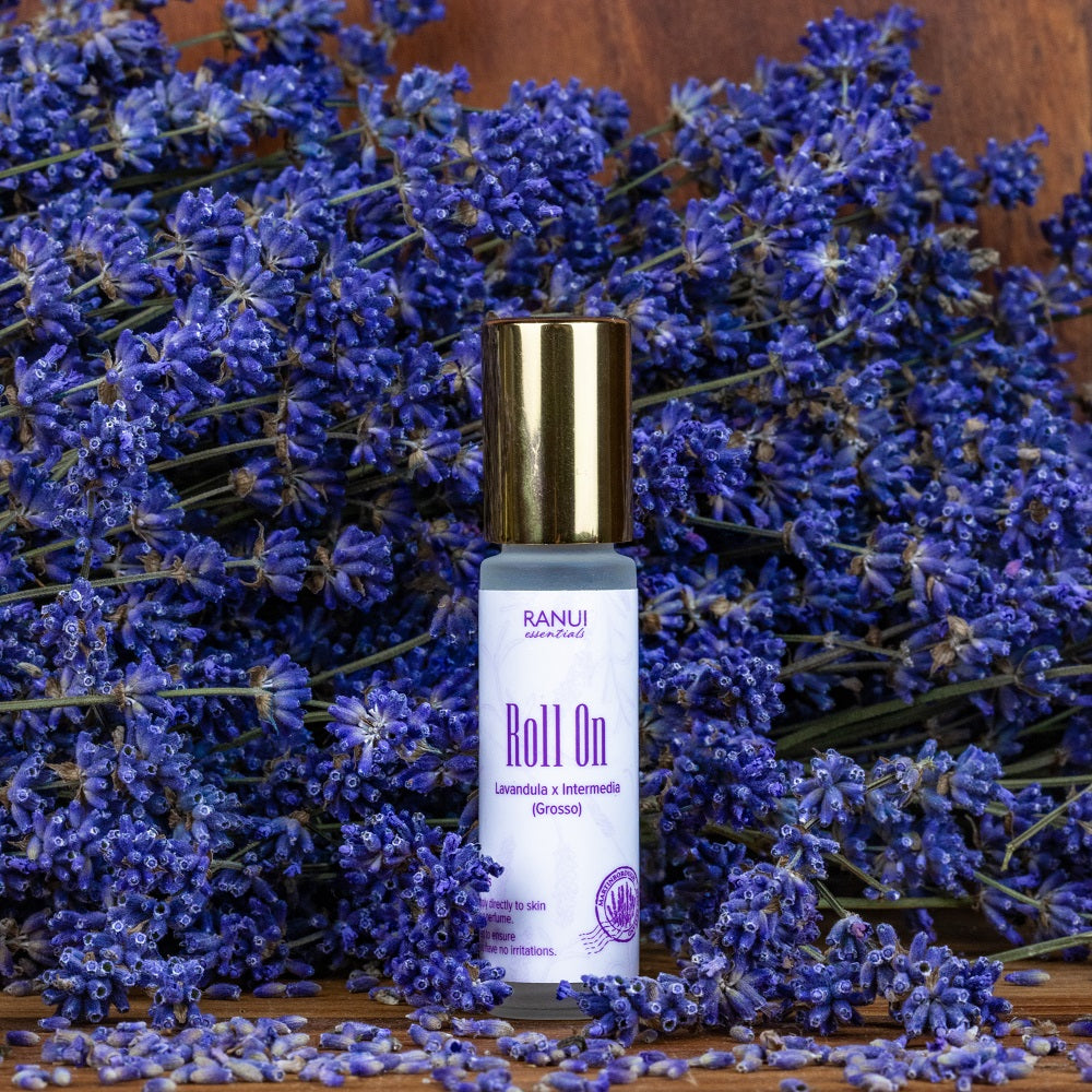 BEST IN NZ 2023 Lavender Essential Oil - 'Grosso' (Our 50ml